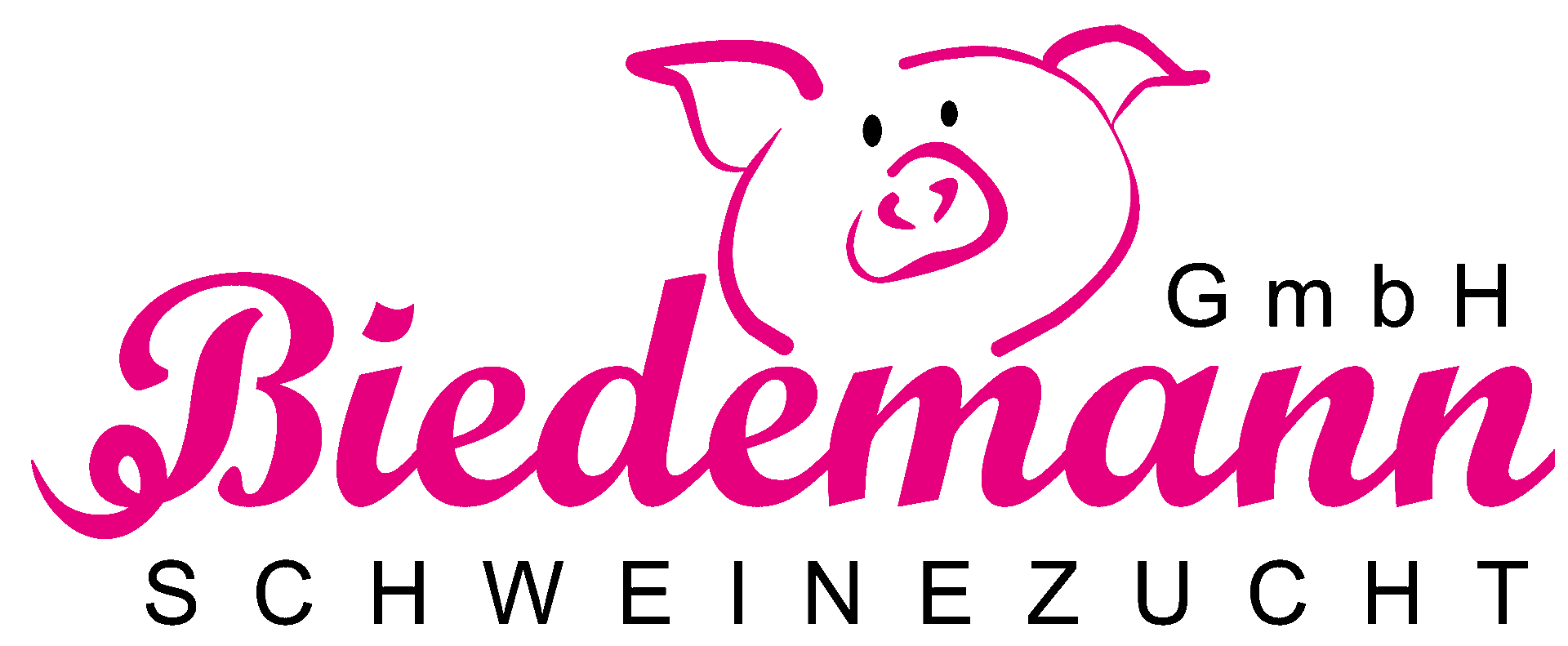 Biedemann GmbH